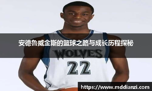 安德鲁威金斯的篮球之路与成长历程探秘