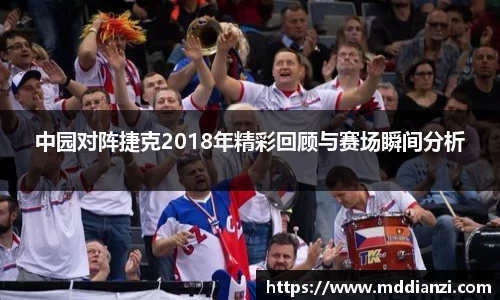 中园对阵捷克2018年精彩回顾与赛场瞬间分析