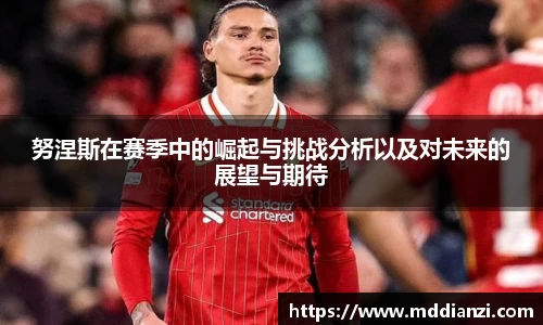 努涅斯在赛季中的崛起与挑战分析以及对未来的展望与期待