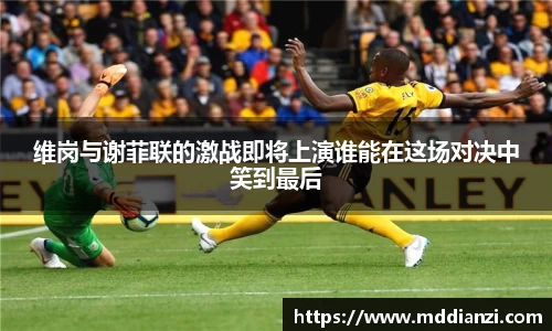 j9国际官网